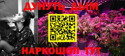 индика Тула