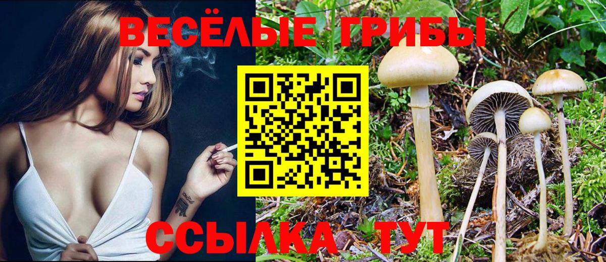 Псилоцибиновые грибы мухоморы Магадан