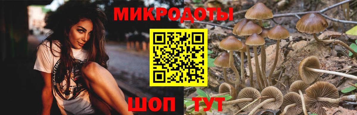 Магадан  Галлюциногенные грибы Psilocybe  Псилоцибиновые грибы Magic Shrooms  Вход с VPN 